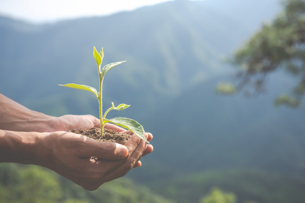 DÍA MUNDIAL DEL RECICLAJE